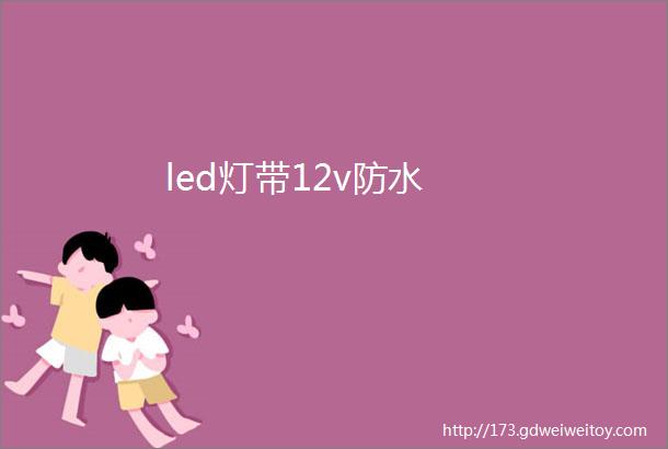 led灯带12v防水