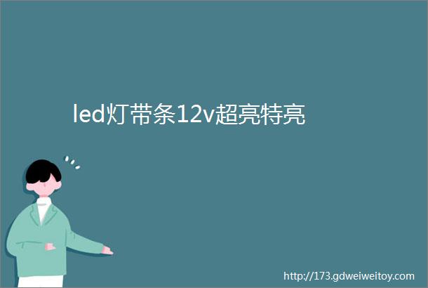 led灯带条12v超亮特亮